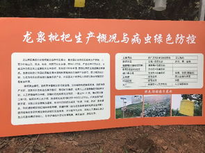 技術推廣服務中心 驅動創新與發展的關鍵力量